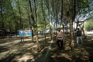 Gulung Tikar di Tengah Pandemi: Mengapa Tempat Wisata Bertumbangan dan Apa Artinya Bagi Kita?