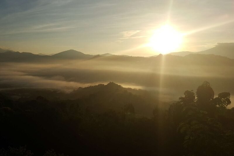 Membangun Fondasi Hari yang Produktif: Panduan Lengkap Rutinitas Pagi Sehat