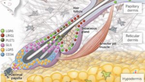 Revolusi Kesehatan: Terobosan Teknologi Medis yang Mengubah Masa Depan Kita