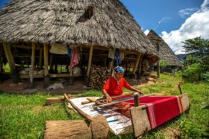 Tentu, mari kita susun artikel informatif tentang open trip yang menarik dan mudah dipahami.