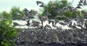 Wisata Anti-Mainstream: Menjelajahi Destinasi Tak Terduga dan Pengalaman Unik di Tahun 2024