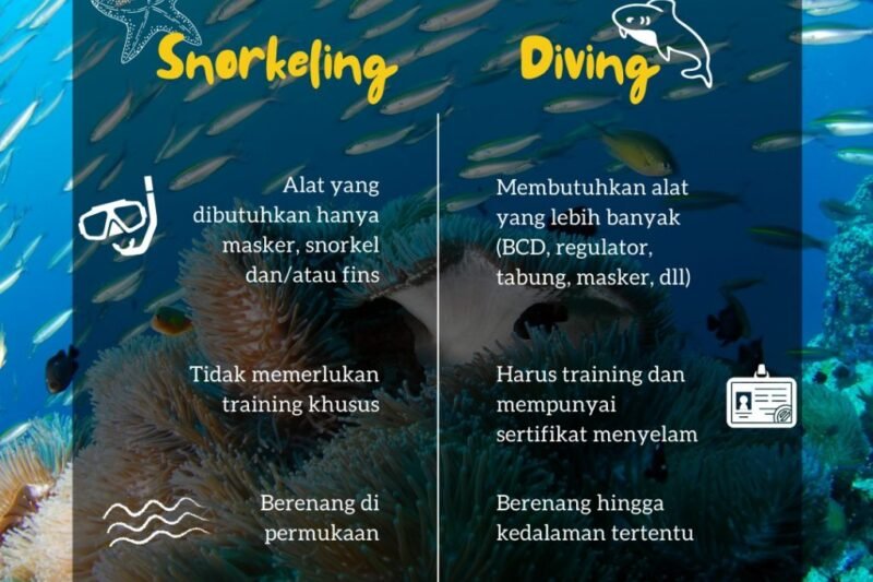 Menjelajahi Keindahan Bawah Laut: Panduan Lengkap Snorkeling dan Diving untuk Pemula