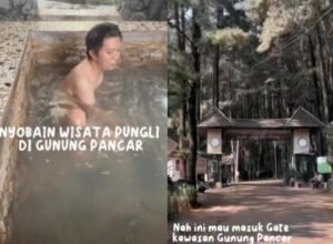 Menjelajahi Pesona Tersembunyi: Mengapa Wisata Lokal Viral Menjadi Tren dan Bagaimana Memanfaatkannya