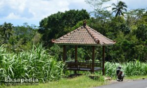 Rest Area Wisata: Lebih dari Sekadar Tempat Istirahat, Gerbang Pengalaman Baru