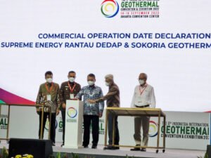 Sektor Energi di Persimpangan Jalan: Antara Transisi Hijau dan Ketidakpastian Global