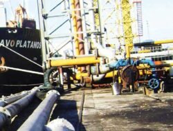 Ekspor Sawit Indonesia: Antara Peluang Emas dan Tantangan Global