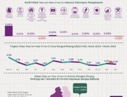Indeks Harga Konsumen (IHK): Mengukur Denyut Nadi Harga dan Inflasi