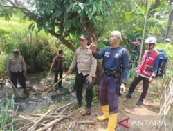 Kabar Baik dari Dunia Satwa: Kisah-Kisah Penyelamatan Hewan yang Menginspirasi dan Membangkitkan Harapan