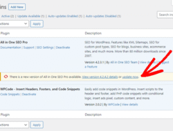Meningkatkan Produktivitas Coding: Update Plugin IDE Terbaru yang Wajib Diketahui