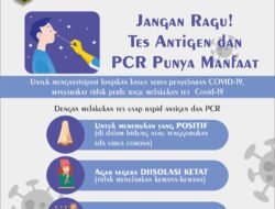 PCR dan Antigen: Panduan Lengkap untuk Tes Covid-19 dalam Perjalanan Wisata