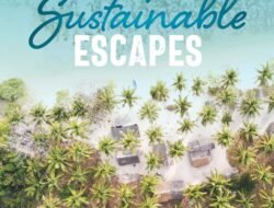 Tentu, mari kita buat artikel informatif tentang gaya hidup eco conscious.