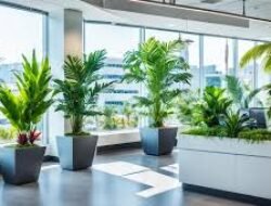 Peluang Bisnis Jasa Perawatan Tanaman Indoor Bagi Perkantoran Di Pusat Kota Besar